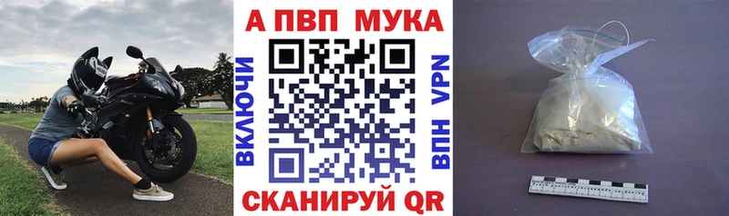 Alfa_PVP СК КРИС  Суджа 