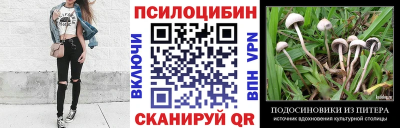 Псилоцибиновые грибы GOLDEN TEACHER  как найти наркотики  Суджа 