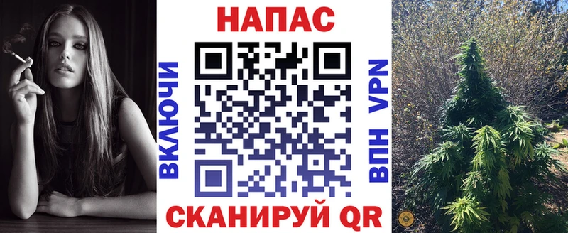 Конопля White Widow  Суджа 